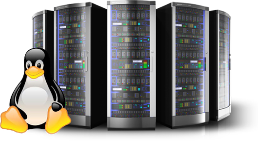 dedicated services